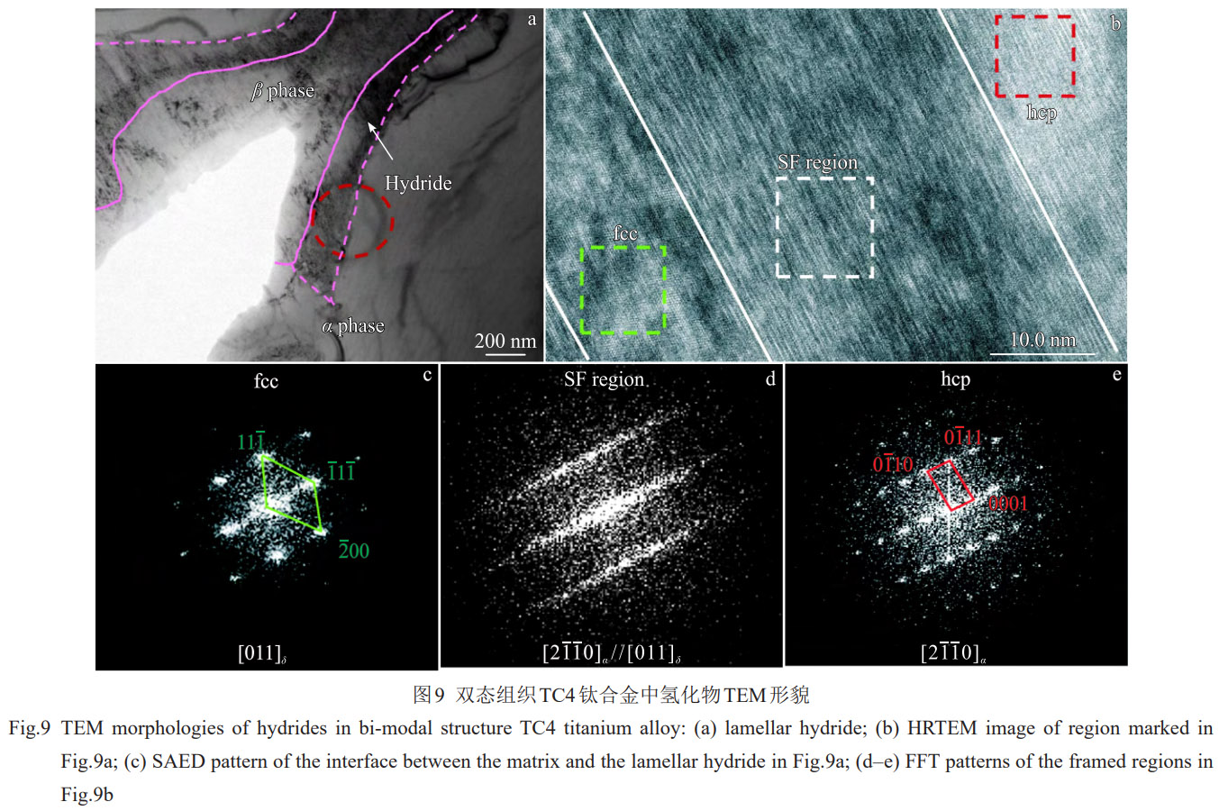 顯微組織對TC4雙相鈦合金氫化物轉變及氫分布的影響機制——系統解析相界面作用、氫擴散規律與氫化物變體選擇特性