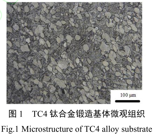 固溶處理對鍛/增復(fù)合成形TC4鈦合金鍛件的顯微組織和力學性能的影響