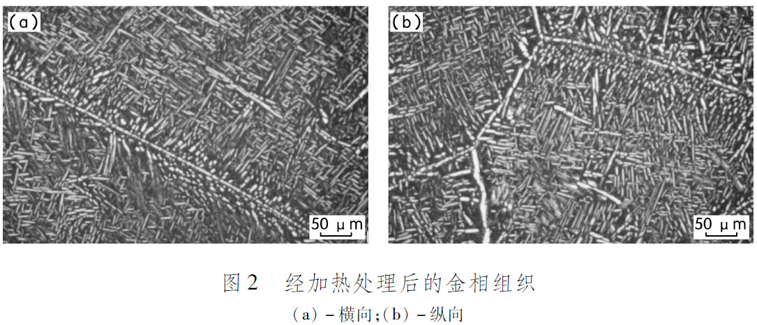 1681547387299573.jpg t2.jpg